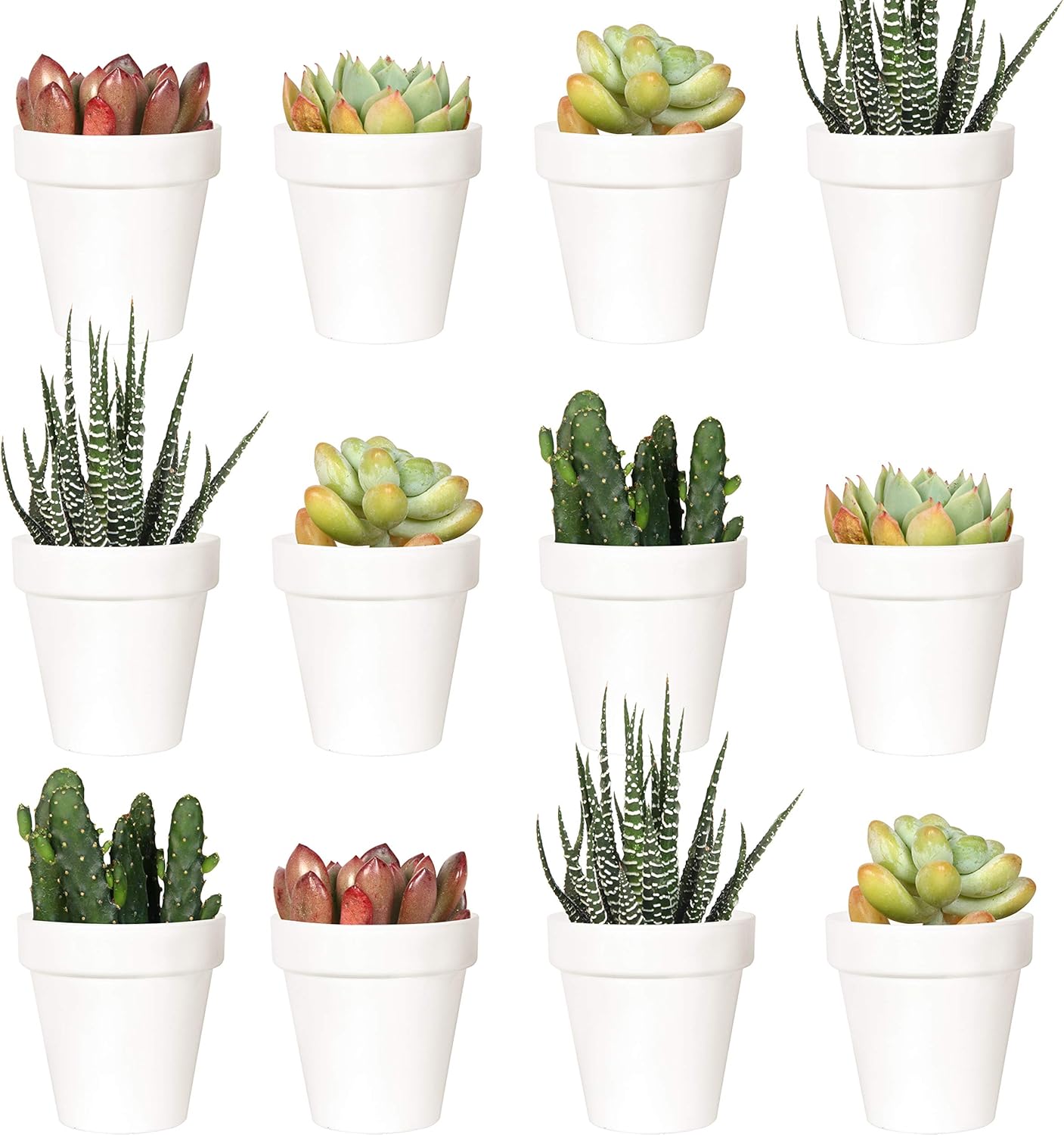 White 2 Pack of 24 Youngever 24 Pack 2 Inch Mini Plastic Planters, Indoor Flower Plant Pots, White Gardening Pot with Drainage - NO Plant Included